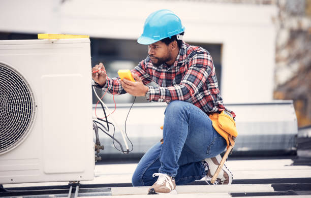 Best Electric Panel Repair  in Rosemont, CA