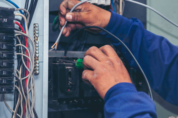 Best Local Electrician Companies  in Rosemont, CA